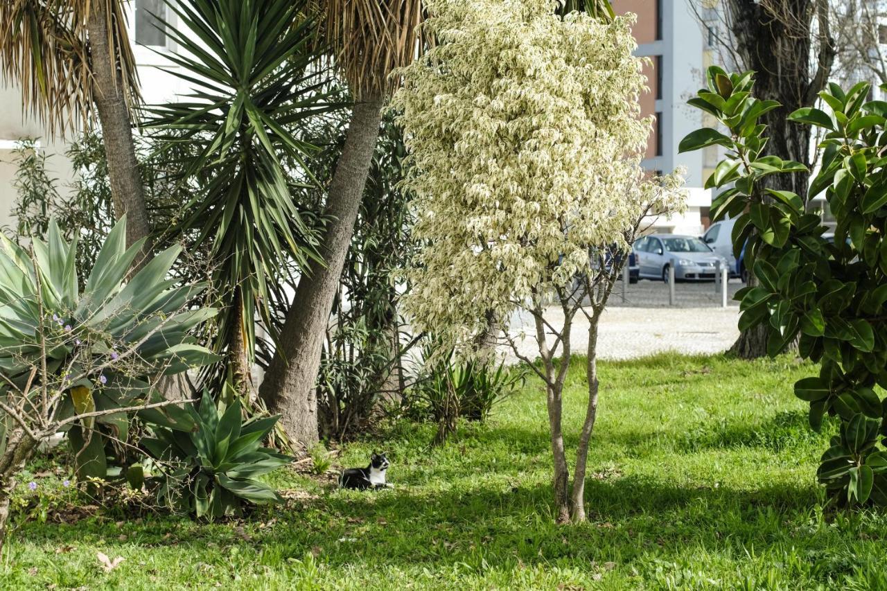 Olive Grove Apartment By Trip2Portugal 리스본 외부 사진